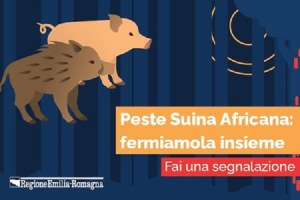 ATTENZIONE - AVVISI IMPORTANTI RELATIVI ALLA PESTE SUINA