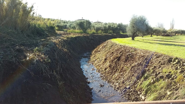 Manutenzione e pulizia di fossi, canali e rogge siti nel territorio comunale di Rottofreno (a cura dei proprietari o titolari di altri diritti reali) 